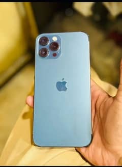 iphone 12 pro max approved