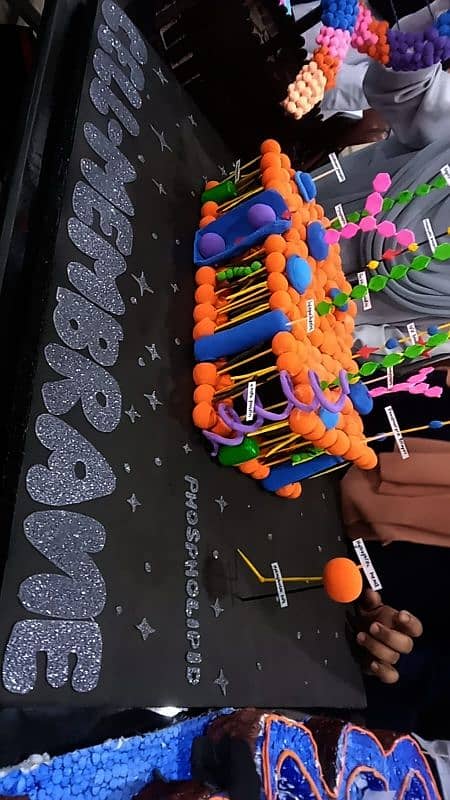 cell membrane project, physiology and anatomy 1