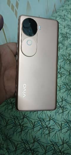 vivo