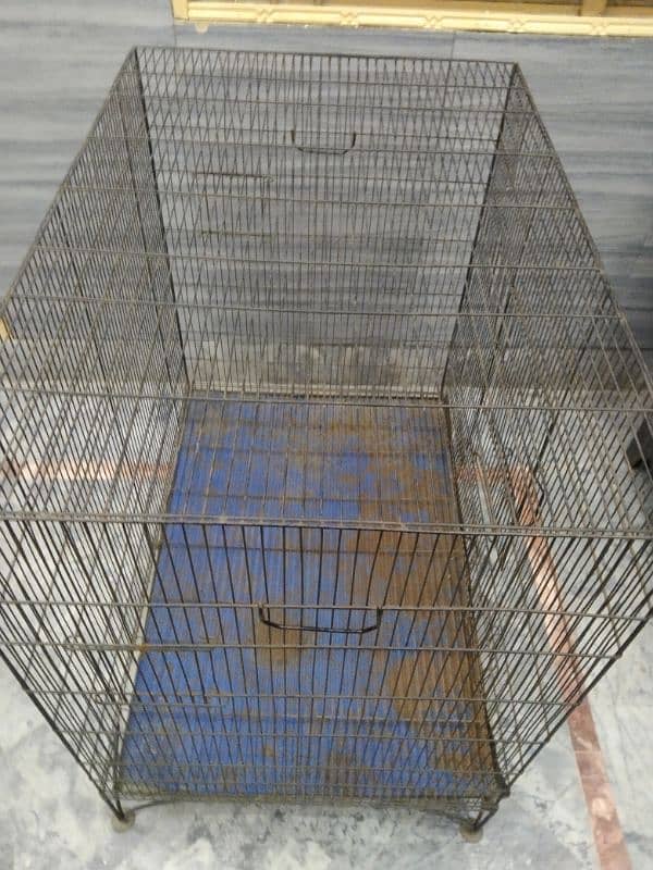 cage pigeon jaal 0