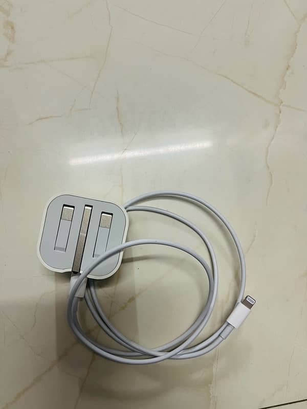 Apple original charger (US) 0