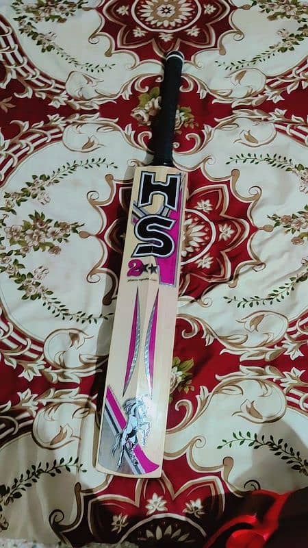 Hard Ball Cricket Kit 1