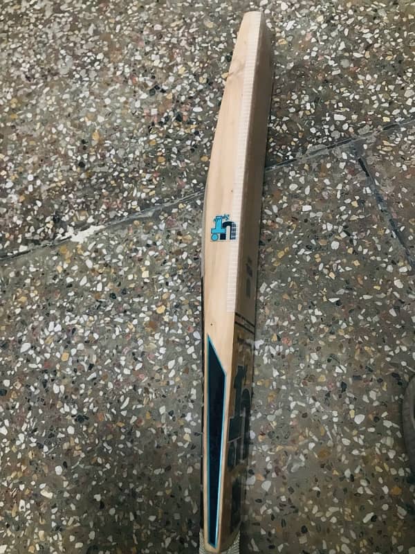 PURE ENGLISH WILLOW CRICKET BAT 2