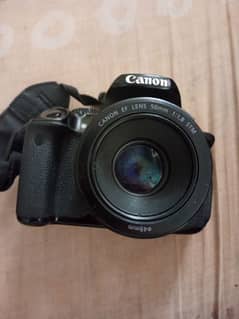 Canon rebel t4i