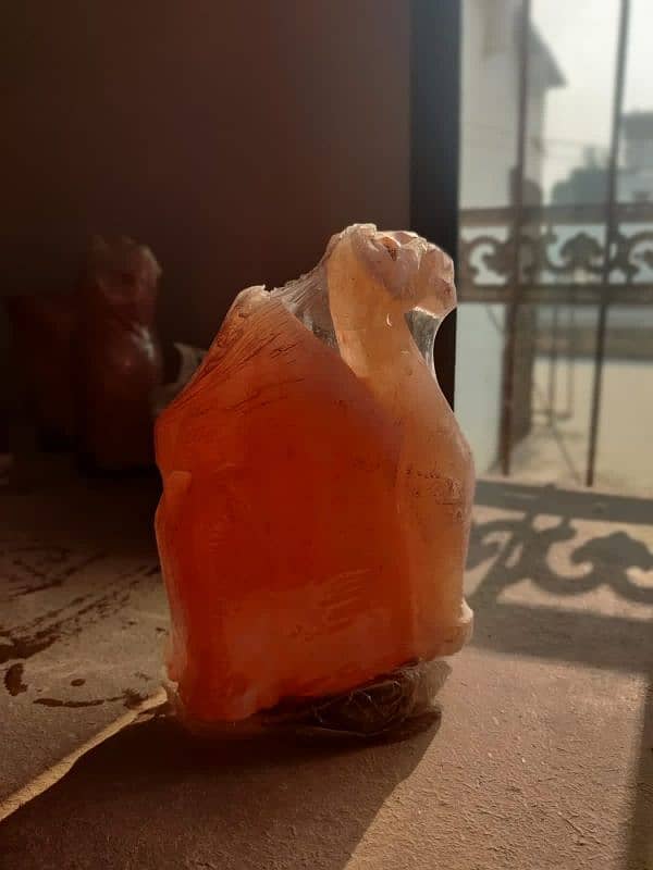 Himalayan salt lamp 6