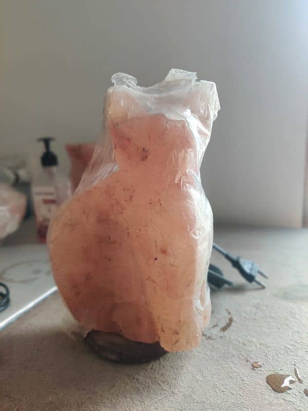 Himalayan salt lamp 10