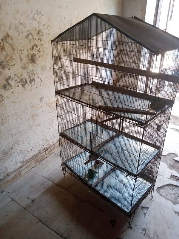 bird cage 2