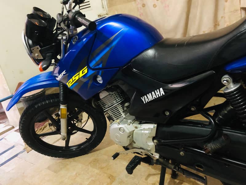 YBR 125 G 8