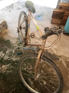 Bicycle for sale