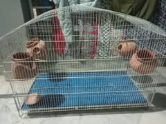 Birds Cage