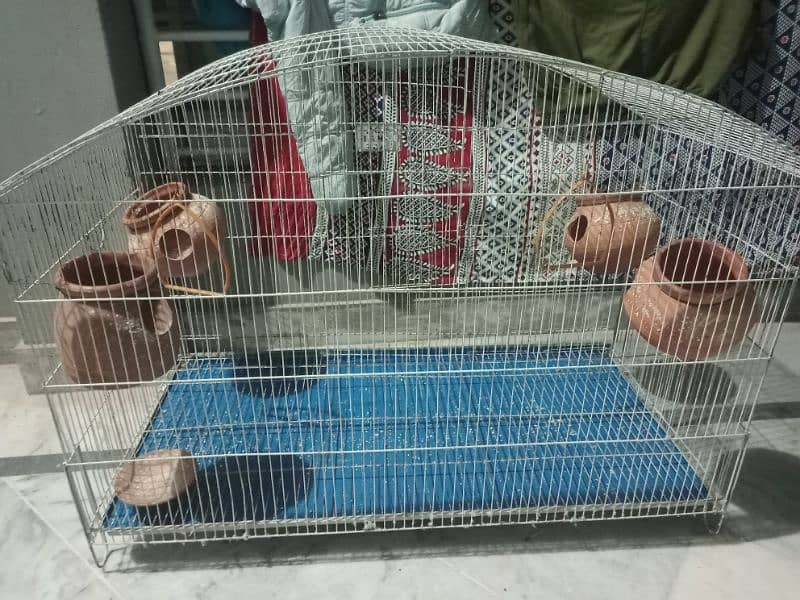 Birds Cage 0