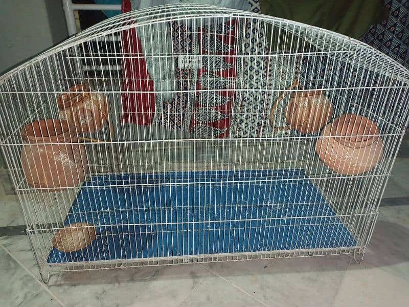 Birds Cage 1