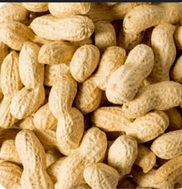 peanuts 2