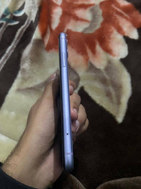 iphone 11 rear purple jv 5