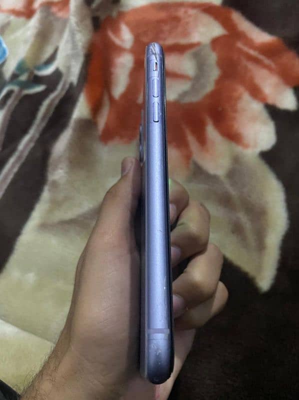 iphone 11 rear purple jv 6