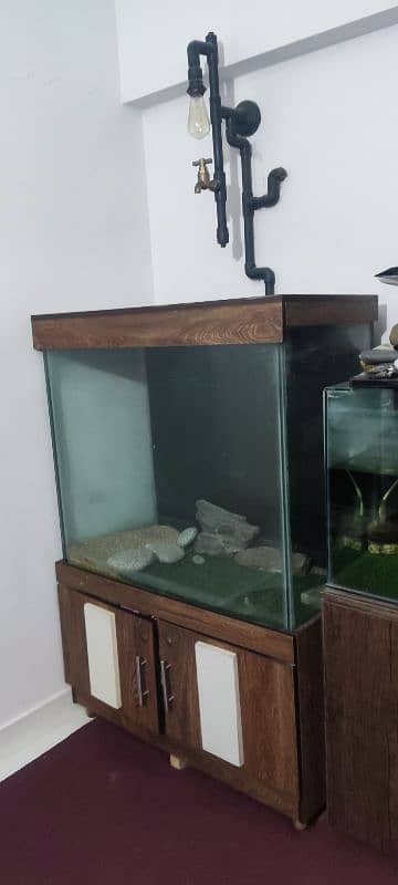 Fish Aquarium 12mm 34x18x30 vip 1