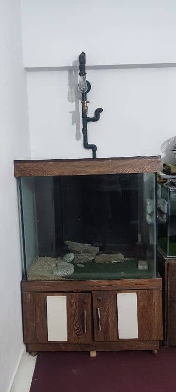 Fish Aquarium 12mm 34x18x30 vip 3