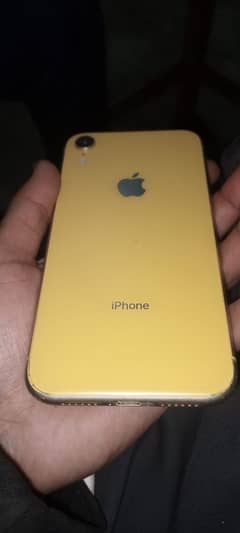 iphone xr /64 gb