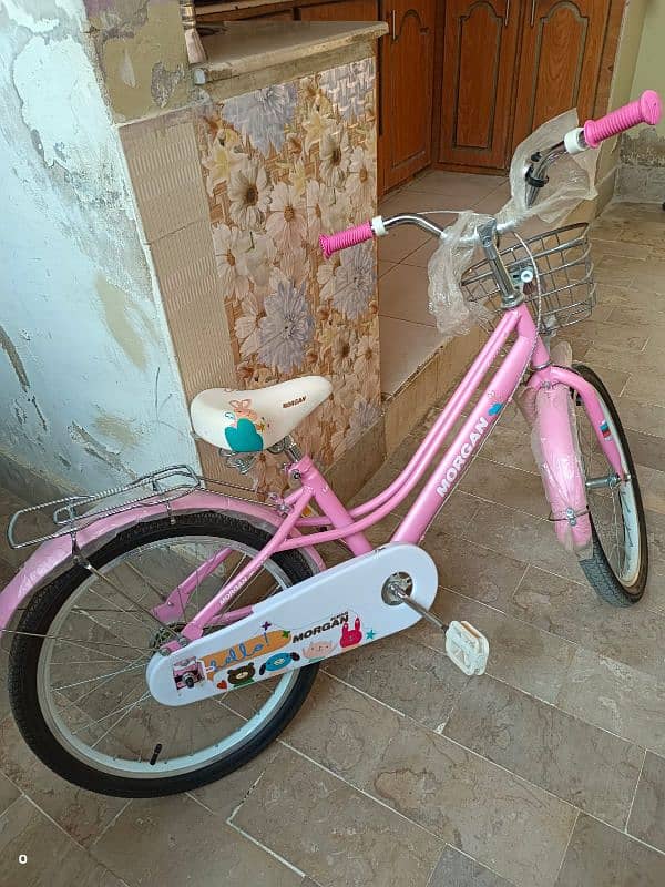 New style bicycle 1