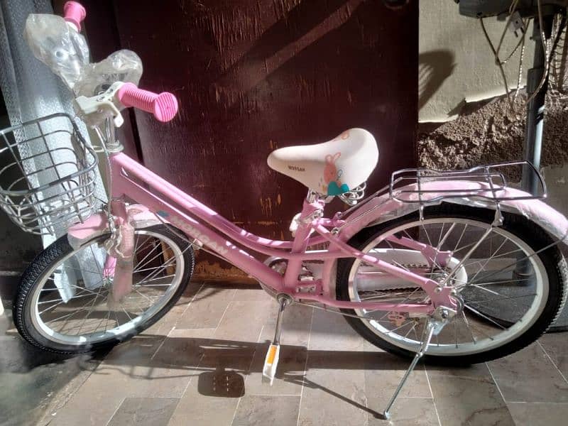 New style bicycle 3