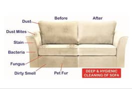 sofa, chair and carpet cleaning services