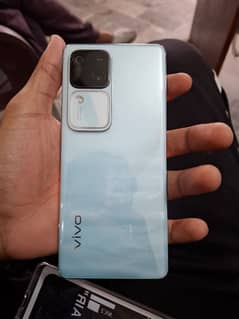 vivo