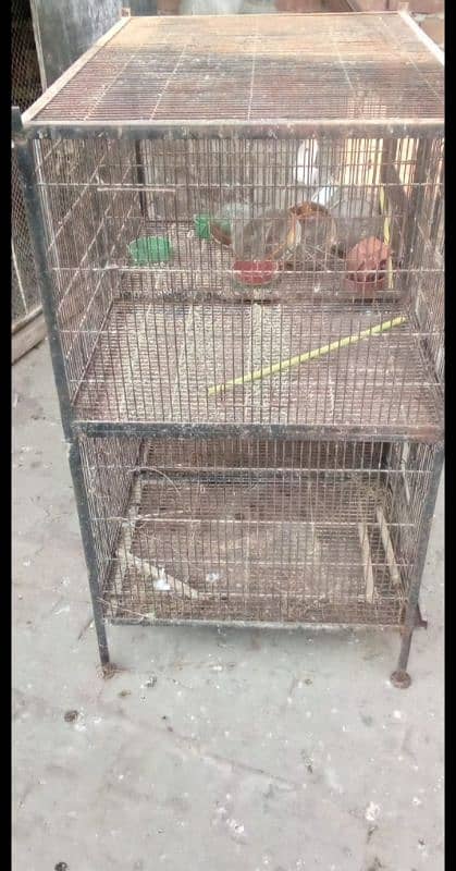 spot welding birds cage iron cage 1