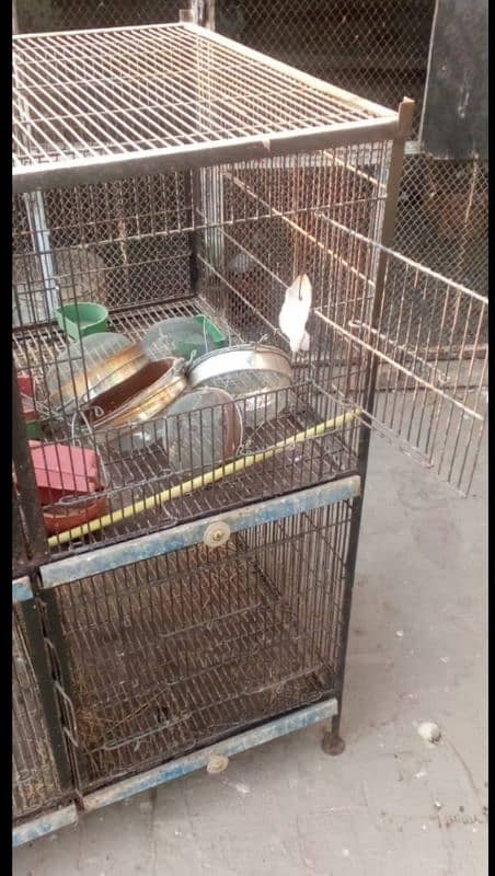 spot welding birds cage iron cage 2