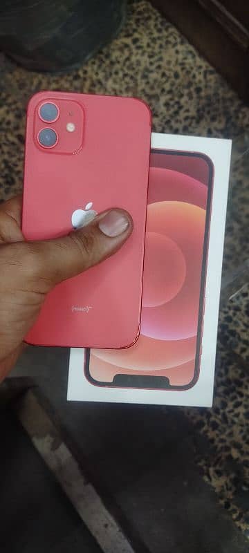 iphone 12 256 gb dul aproved wit box 100 helth 10+10 screcth less pc 6