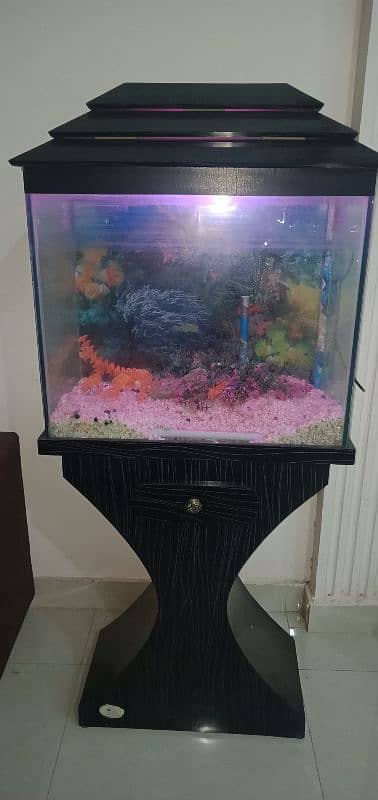 Fish Aquarium | Fish Tank | Fish Aquarium with Wooden Stand 1