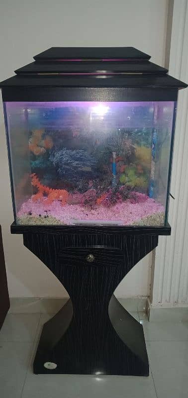 Fish Aquarium | Fish Tank | Fish Aquarium with Wooden Stand 2