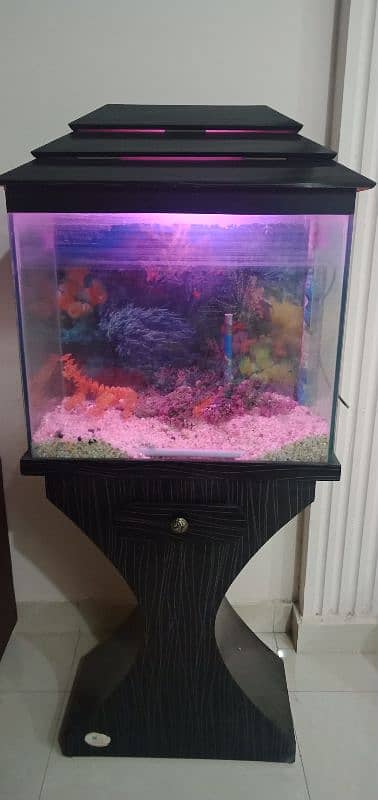 Fish Aquarium | Fish Tank | Fish Aquarium with Wooden Stand 3