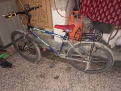 Cycle for Sale