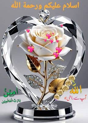 Zaheer 