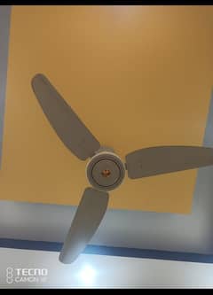 selling fan