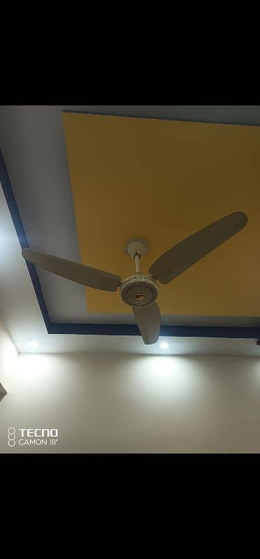 selling fan 2