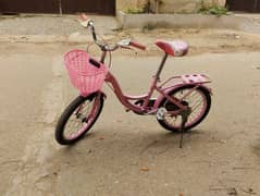 Girls bicycle