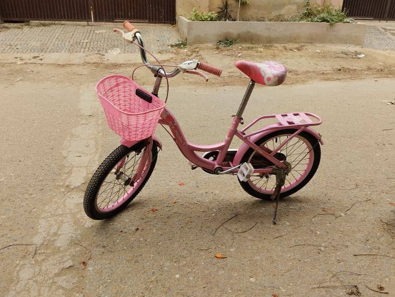 Girls bicycle/pink bicycle 0