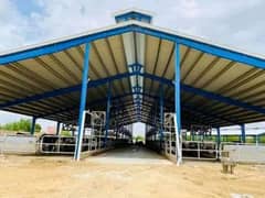 Dairy farm Shed