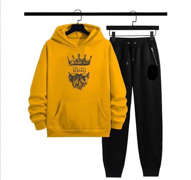 Hoodies / Men Hoodies 2