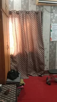 curtains/Ceiling Fans/carpet