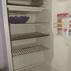 room fridge