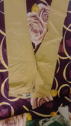 pant available