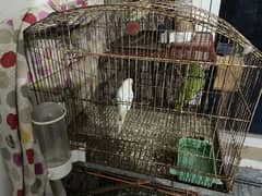 used cages for sale