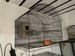 birds cage