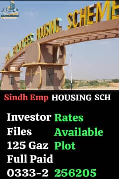 Plot 4 Sale Sindh Employees Housing Scheme