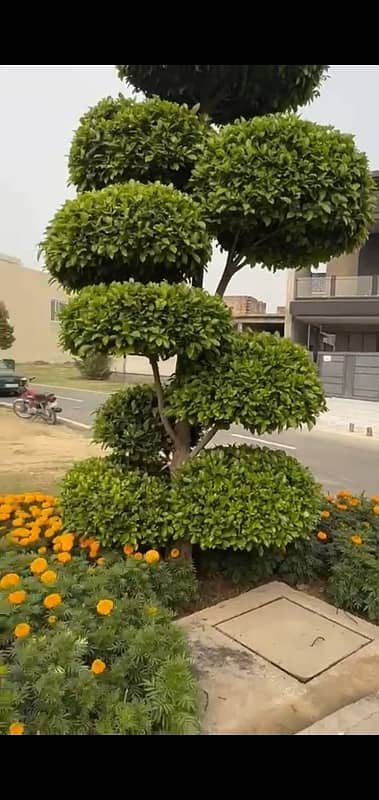 20 Marla Residential corner Plot Available For Sale. In Faisal town F-18 Islamabad. 2