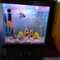 Brand New Aquarium with Wooden Cupboard For Storage