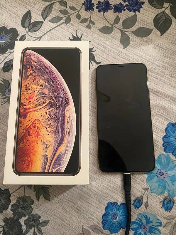 Xs max 512gb 2