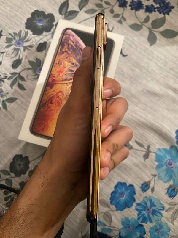 Xs max 512gb 3